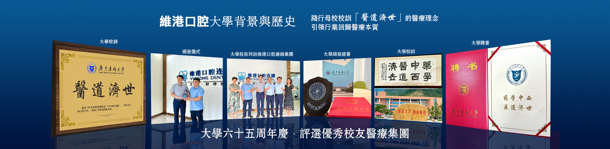 維港口腔大學背景與歷史