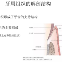 牙周病點解難以徹底治好？深圳牙周治療