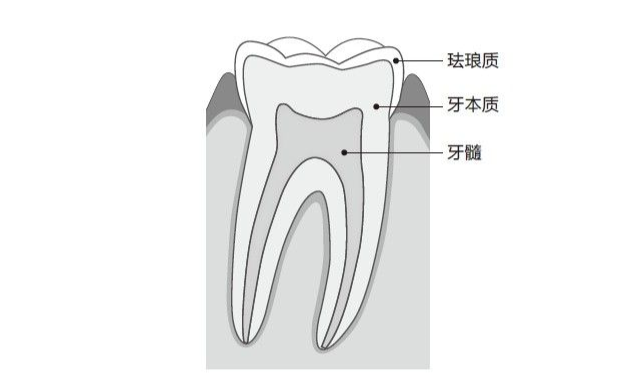 微信图片_20230512111306